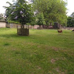 Campingplatz. 