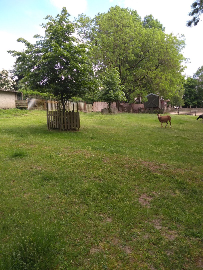 Campingplatz